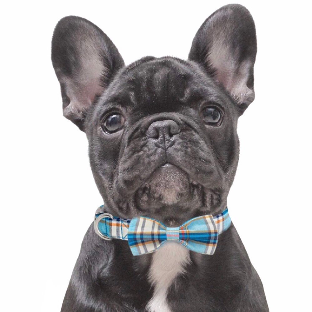 Dog Collar Bow Tie Blue Plaid NEW - Picture 2 of 14